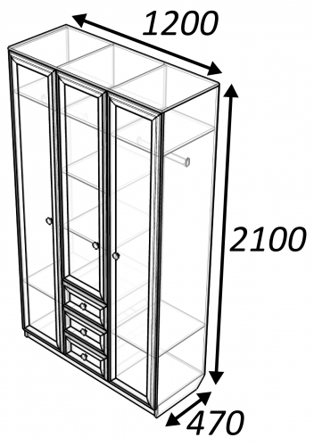 шкаф 3,3,1.jpg (1)